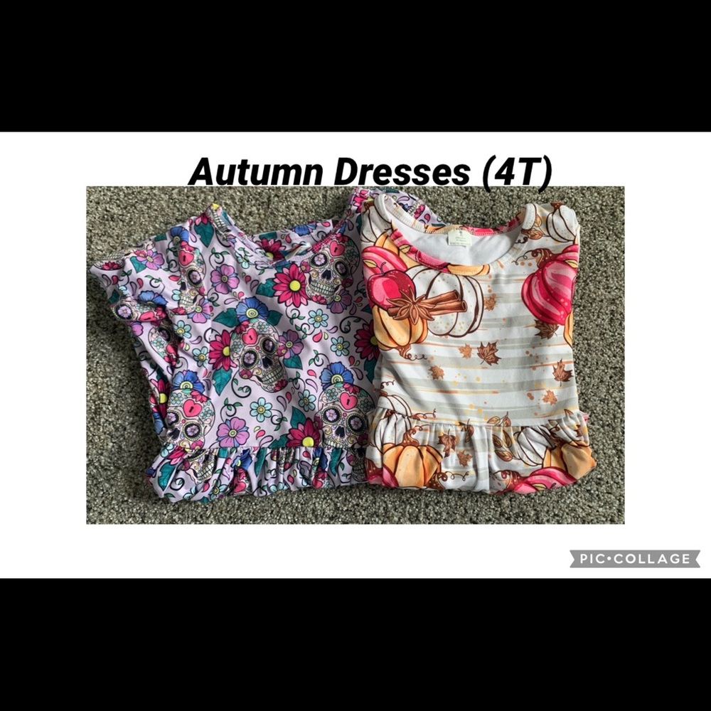 Autumn Dresses (4T)